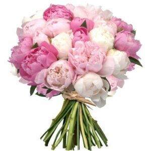 bouquet de pivoines roses